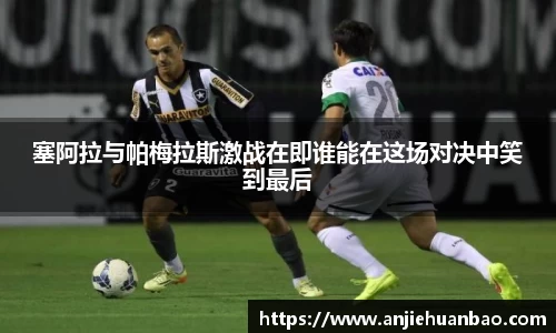 db旗舰官方网站